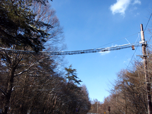 アニマルパスウェイ1号機(北杜市市道)