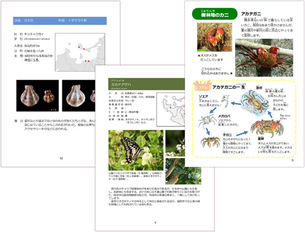 HBNミニ図鑑