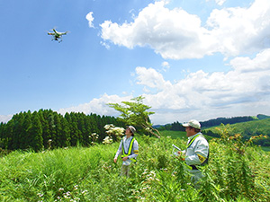 草原の希少植物調査