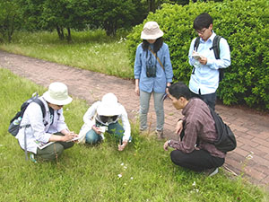 社員の勉強会。近くの緑地公園にて。専門分野以外のことも知りたい！