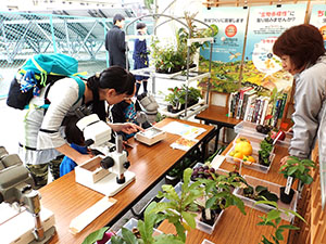 なごや生物多様性センターまつり（名古屋市）出展の様子。