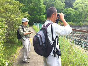 調査風景、対岸のトンボを観察。