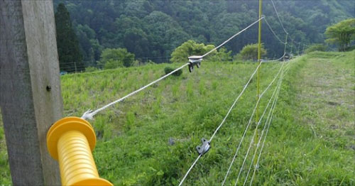 農山村地域の獣害対策