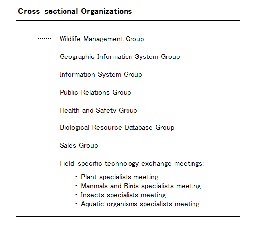 Company-wide cross-sectional organization chart.