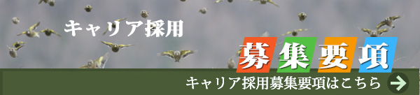 地域環境計画キャリア採用募集要項