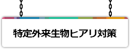 特定外来生物ヒアリ対策