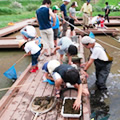 写真：環境教育