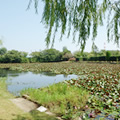 写真：自然風景