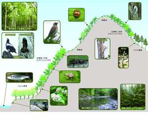 JTの森 積丹（余別川流域エリア）