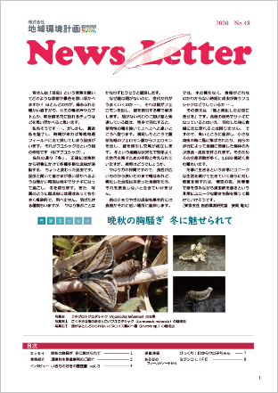 ちいかん NewsLetter 48号