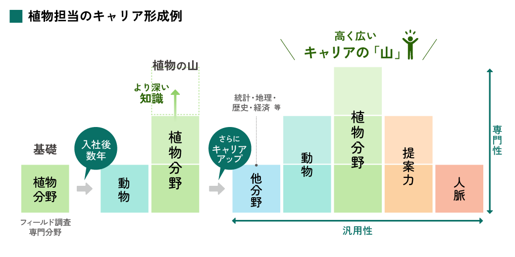 植物担当のキャリア形成例