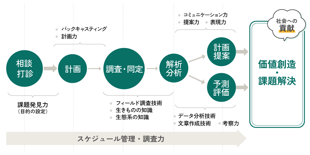 キャリア形成の流れ