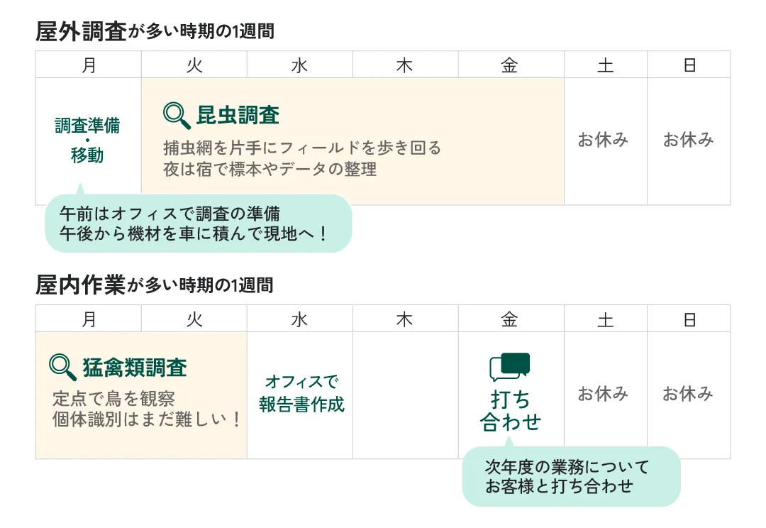ある夏の1週間ある冬の一週間