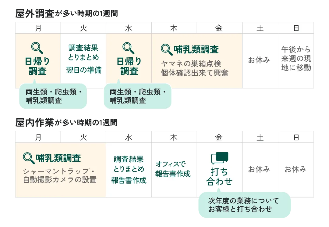 ある夏の1週間ある冬の一週間