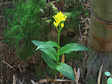ちいかんスタッフインタビュー