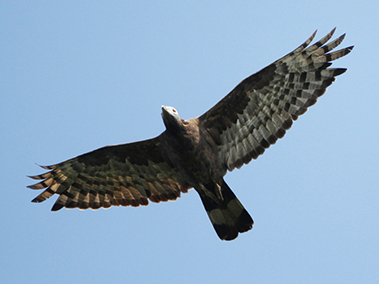 ちいかんスタッフインタビュー