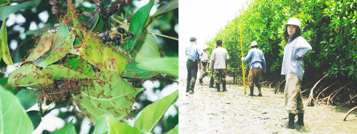 ちいかんスタッフインタビュー