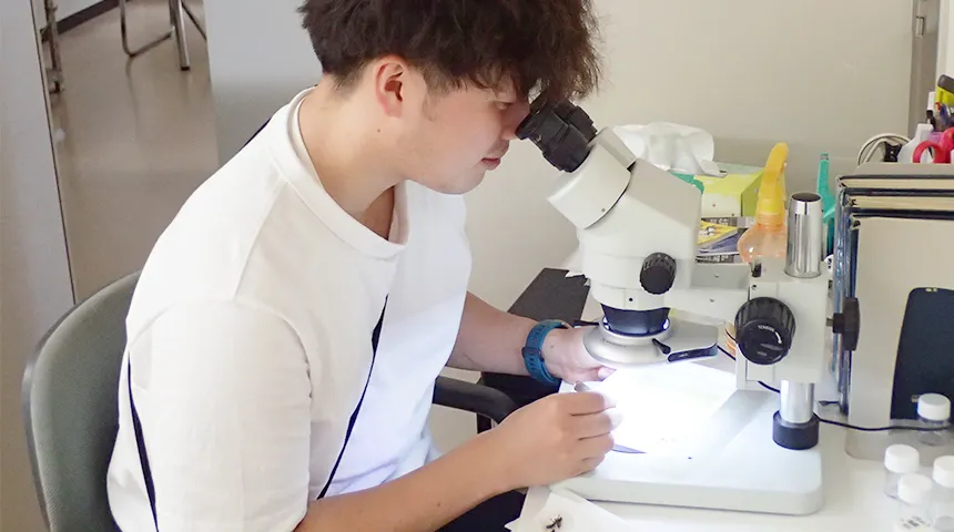 北海道支社同定作業中