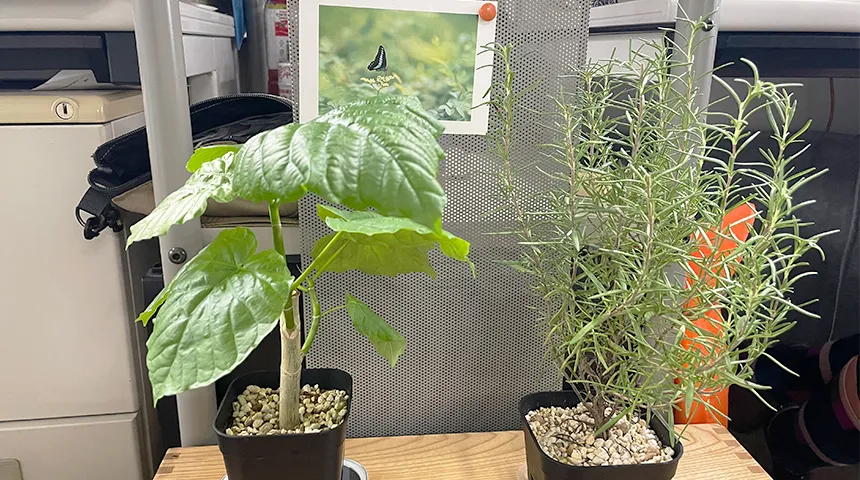 ちいかんクロスカフェ