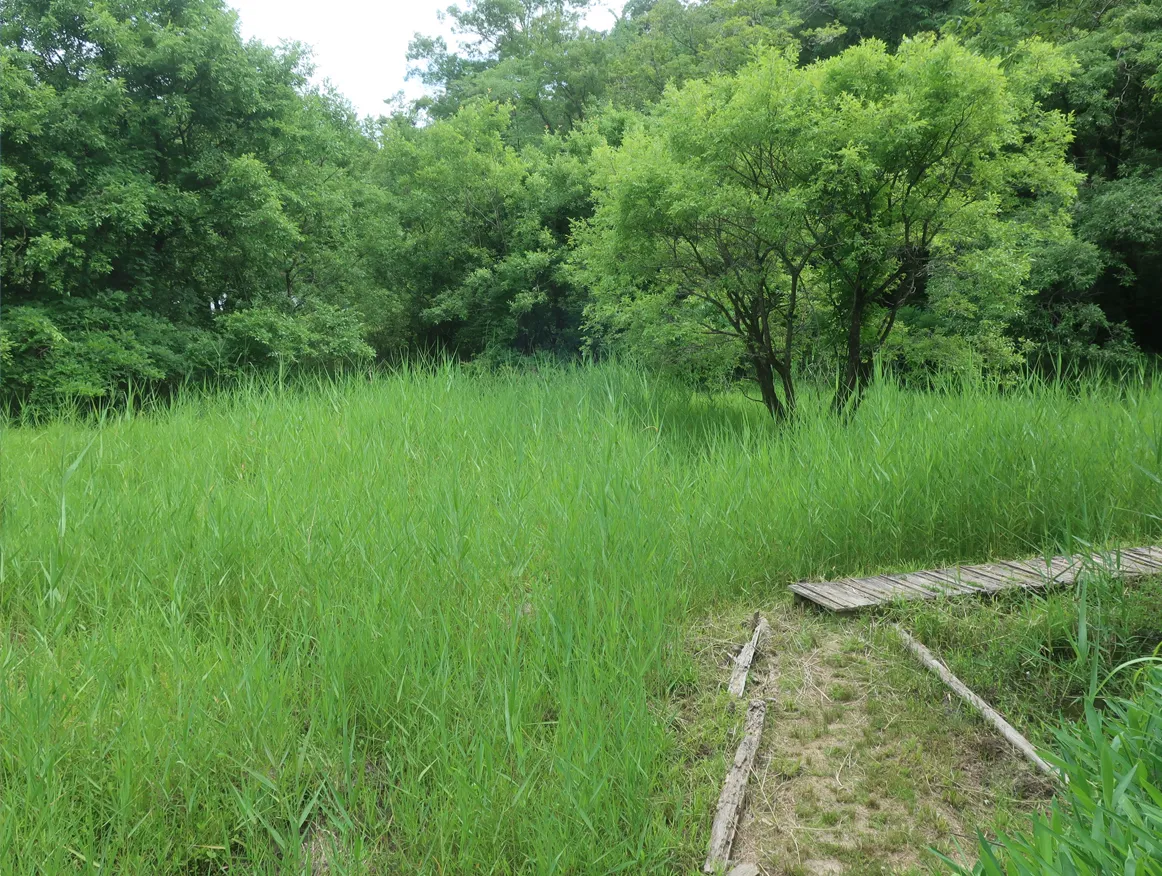 生きものの姿や声にワクワクできる自然体験施設