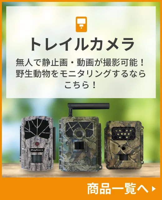 イノシシ対策の知恵袋BLOG