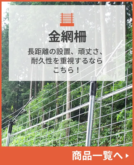 イノシシ対策の知恵袋BLOG