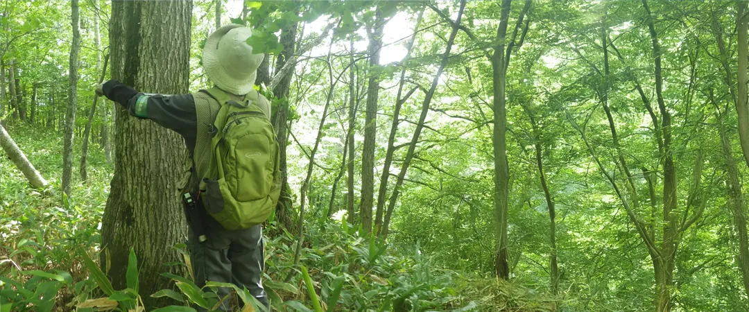 生物多様性の取り組みを支える自然環境関連の基盤調査