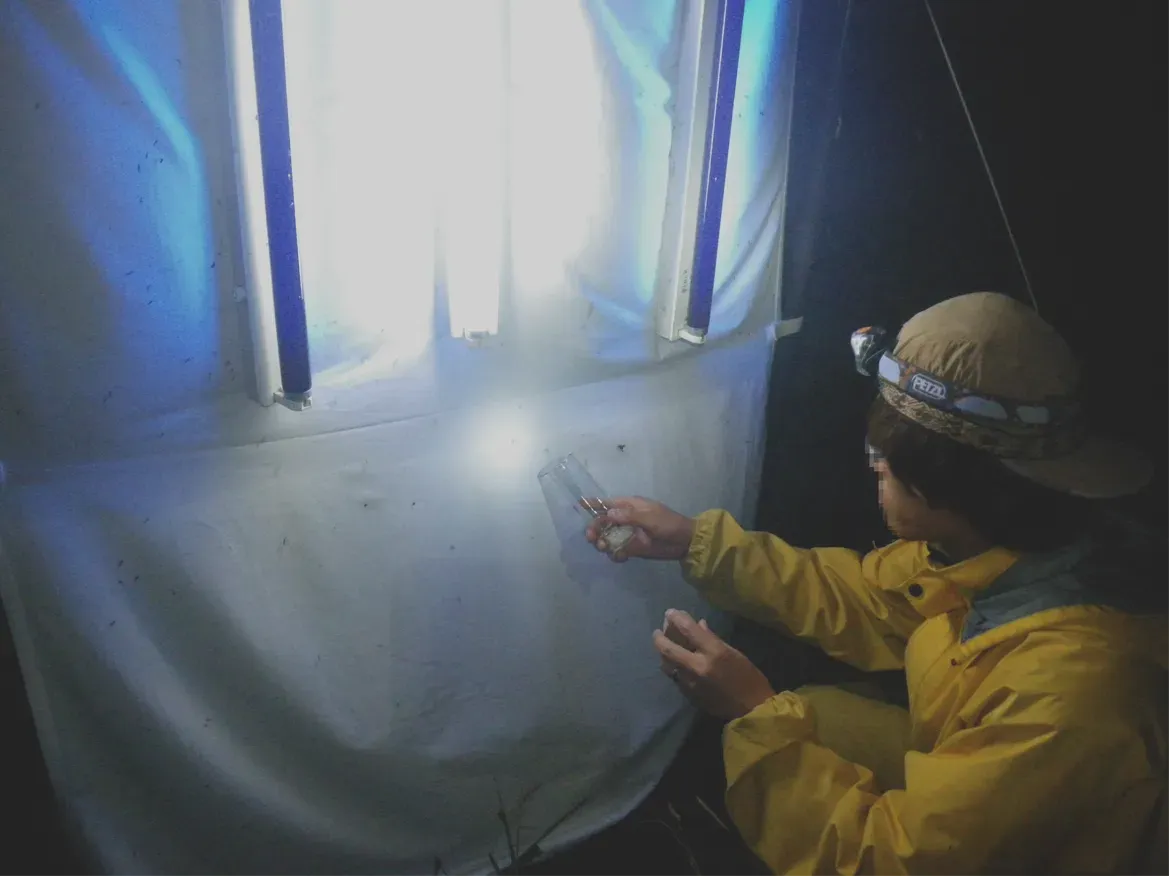 河川水辺の国勢調査