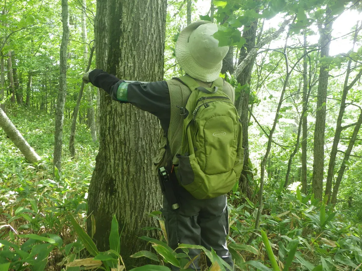 森林生態系多様性基礎調査