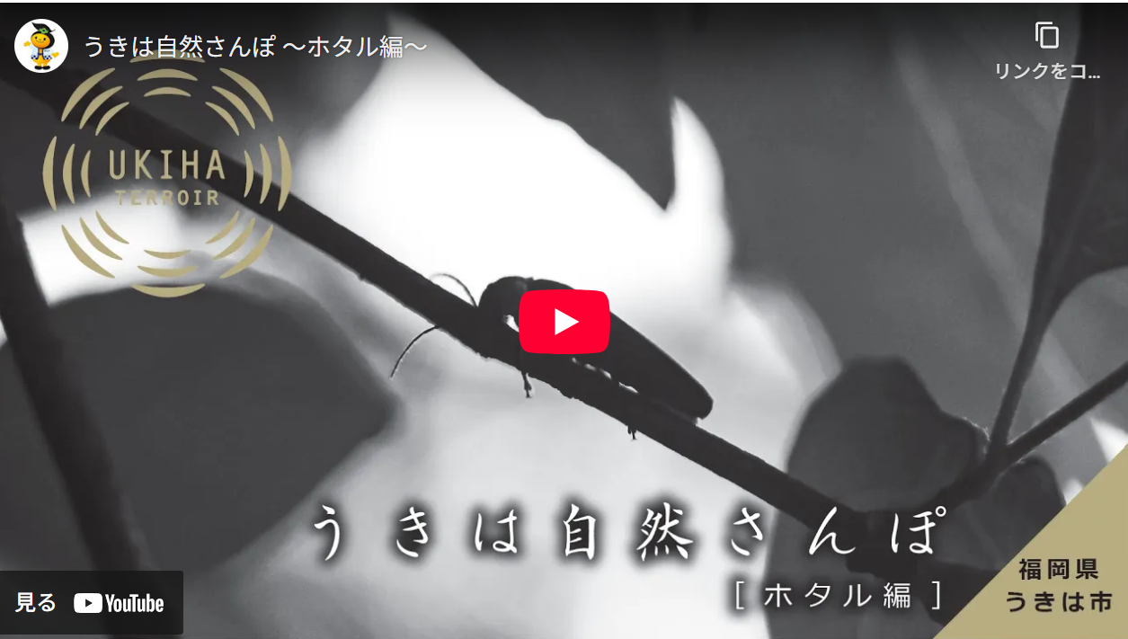 うきは市動画