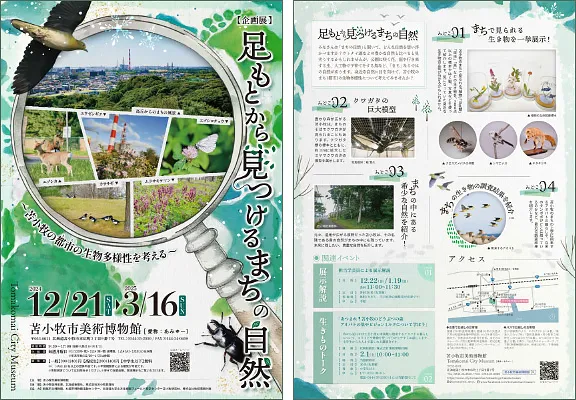 苫小牧市美術博物館 企画展「足元から見つけるまちの自然」