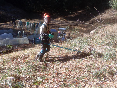 3．草を刈って、