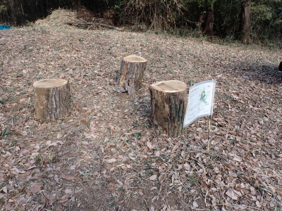 7．休憩用のイスが出来上がりました。これで昼休憩はまったりとくつろげます