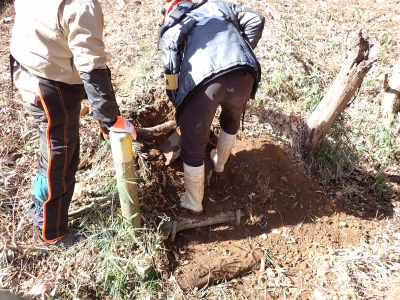 8．森へのアプローチルートが確保できていなかったので、