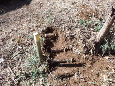 9．即席で階段付きの道をつくりました。これで重い機材を持って森にアプローチするのが楽になります