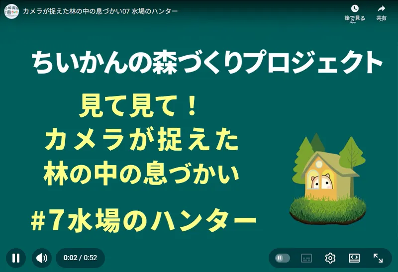 森づくりプロジェクト動画水場のハンターアライグマ