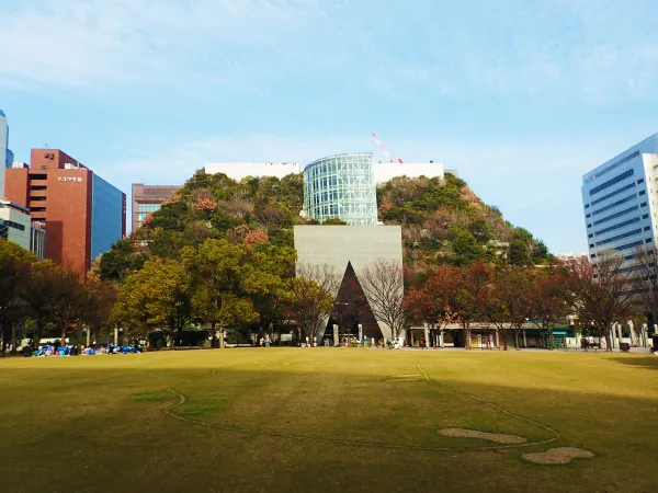 「アクロス山」の全景。冬に撮影したものですが、多くの木々が茂っています。