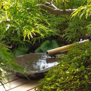 東京オフィスの4Fに設置したバードバス