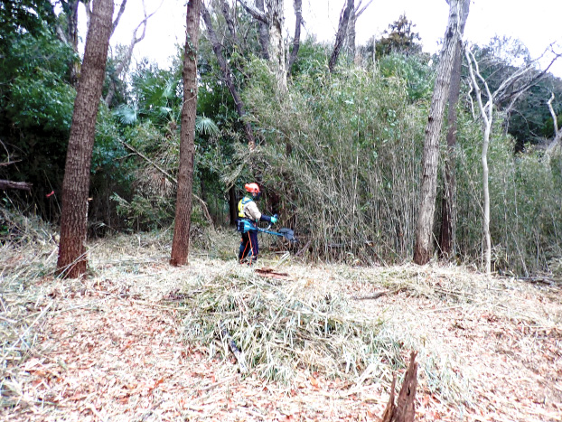 前回刈り残した部分をどんどん刈っていきます。
