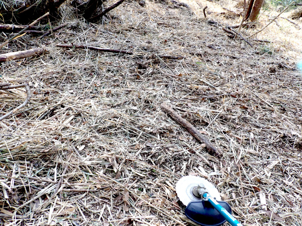 こんな感じにスパッと刈って、地面を整えます。