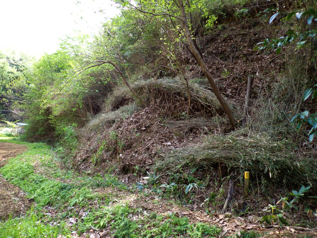 急斜面は、こんな感じになりました。