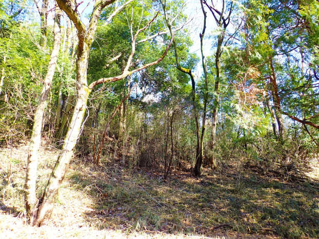 次々と作業が進みます