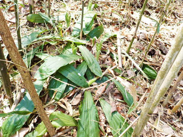 レジェンド、お宝を発見!