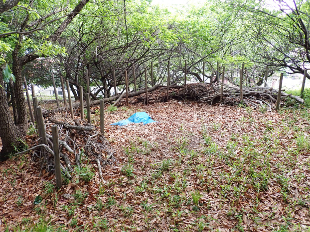 野積みのササを集める場所