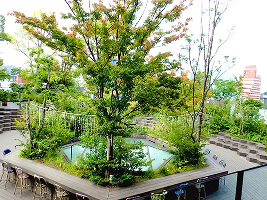 都会のみどりをつなぐ、東急プラザ表参道原宿屋上の「おもはらの森」
