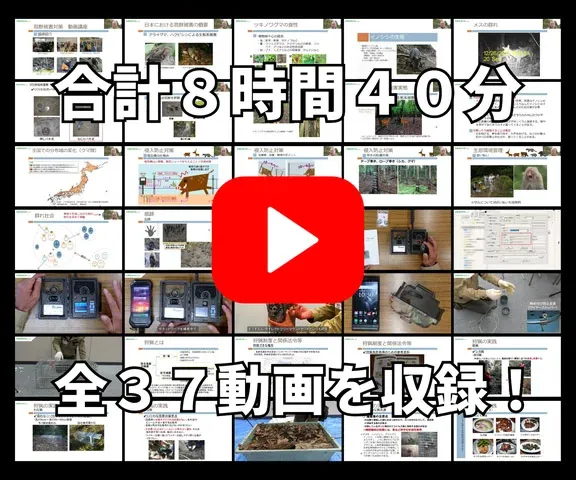 【講座イメージ】動画は登録後に案内されるページにて視聴可能