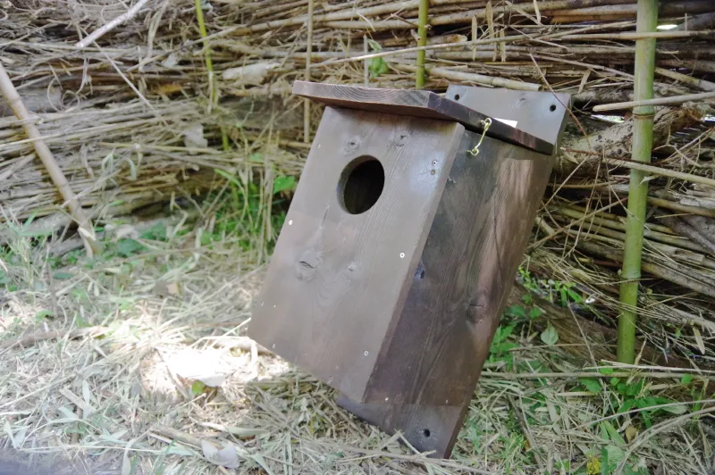 O君が自作した巣箱。焼き杉板を使って耐久性を持たせ、素晴らしい出来栄えです。