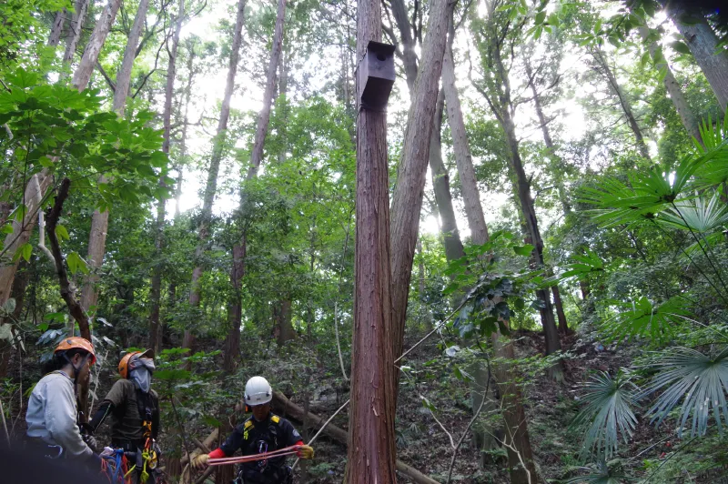 1箇所目はこんな感じで設置完了。