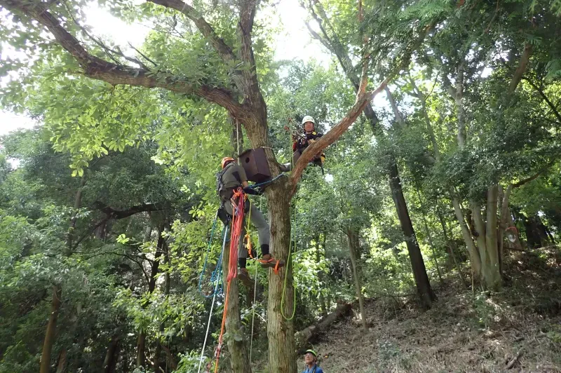 2箇所目は巣箱製作者のO君がチャレンジします。