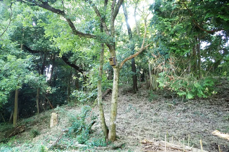 2箇所目もこんな感じで設置できました。いい感じです。